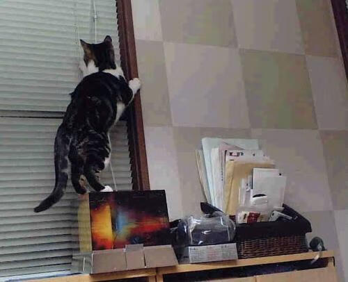 fb体育试玩-詹姆斯40+带队逆转夺冠！，詹姆斯41分