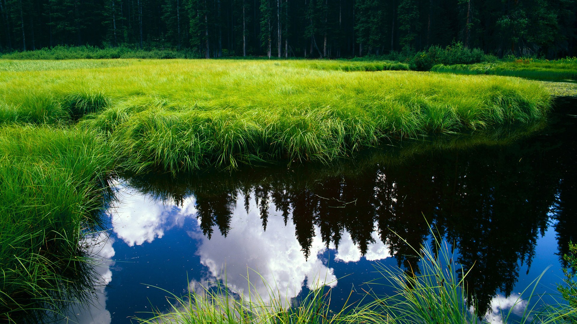 弗拉门戈攻防转换效率提升，弗拉门戈ds