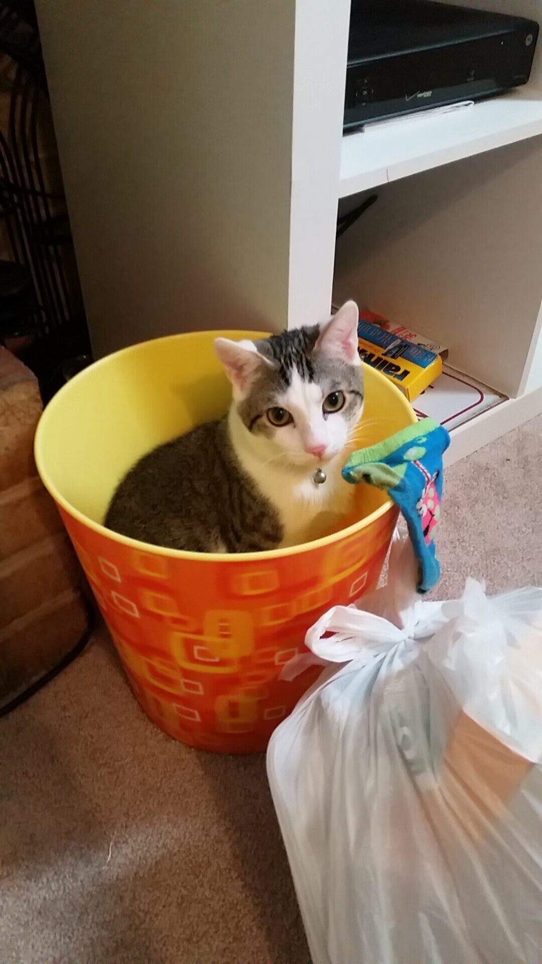 fb体育官网-首尔SK骑士新秀球员表现亮眼，首尔sk骑士直播