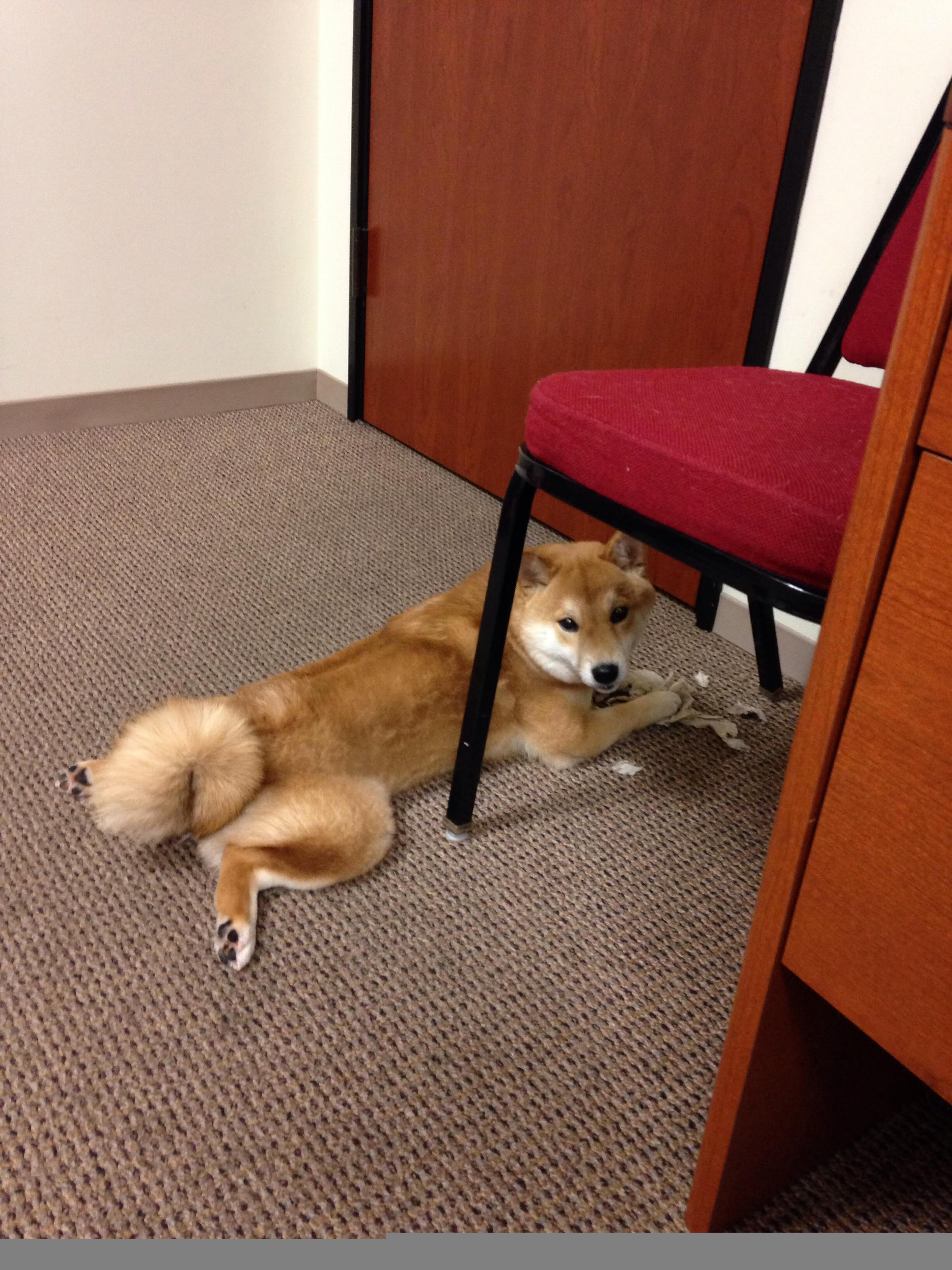 fb体育投注-青少年运动社群参与行为与归属感建构研究，运动社群运营方案