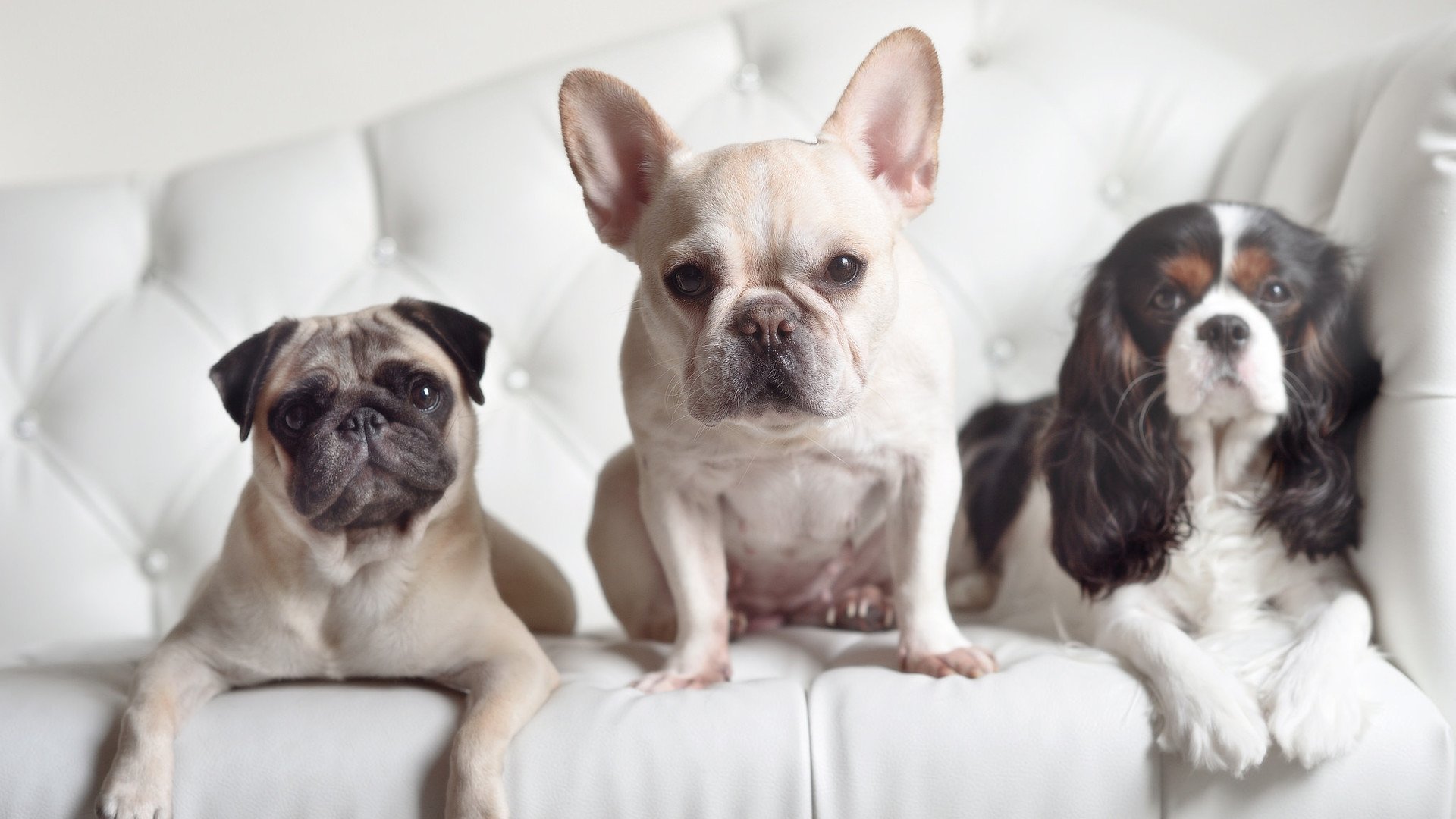 fb体育登录入口-中小学冰雪运动推广月系列活动落地实施，中小学校园冰雪运动