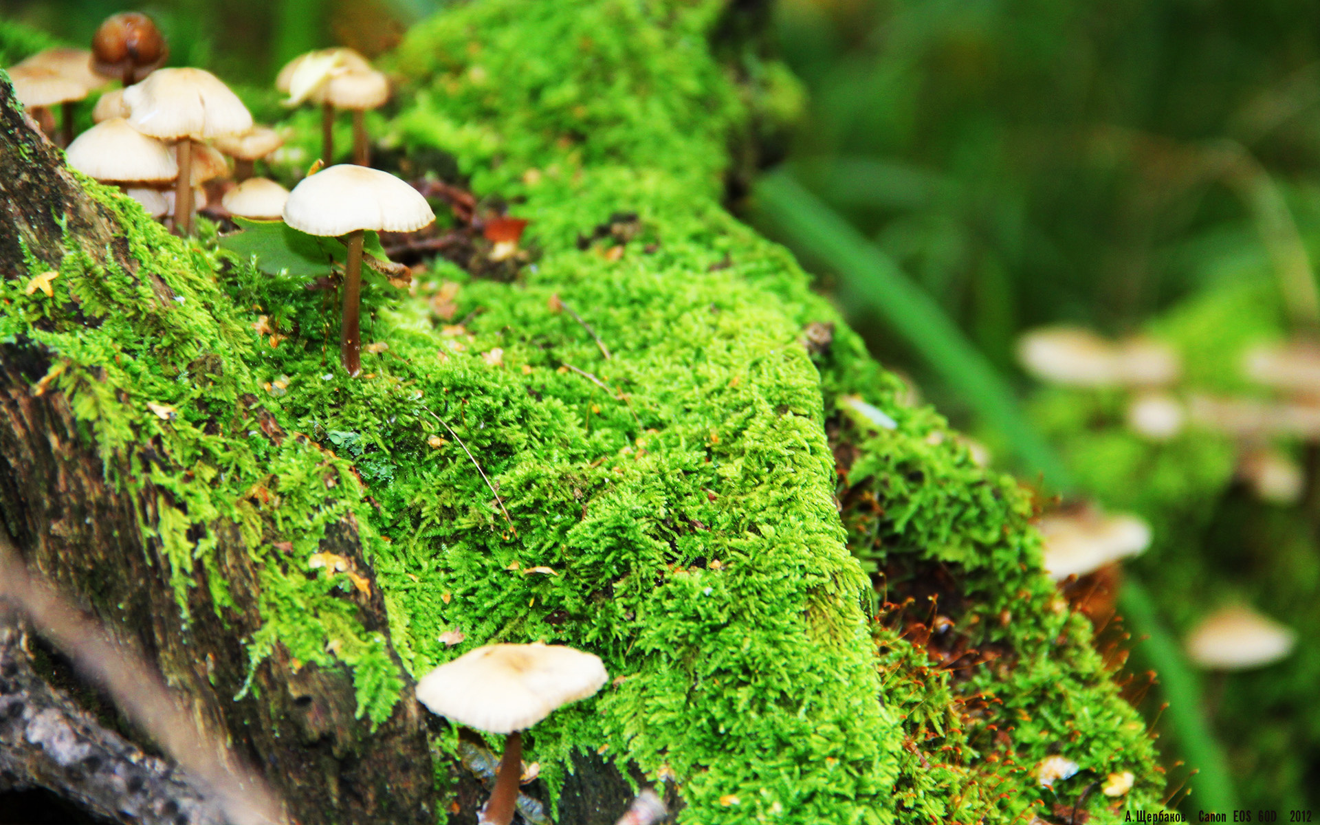 fb体育官网首页-女子蝶泳转身效率排名新鲜出炉，蝶泳转身技术视频教程