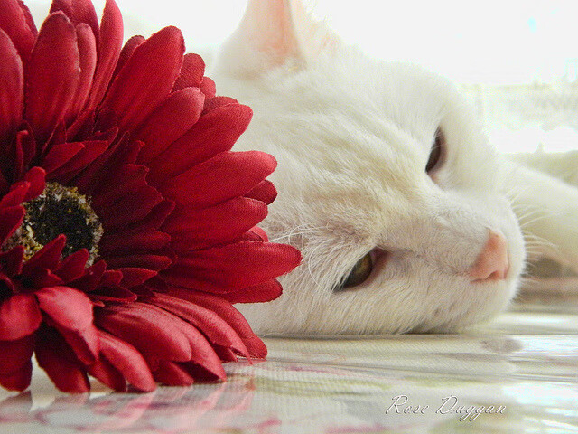 fb体育登录入口-森林狼教练安排趣味游戏放松球员紧张情绪，球队森林狼