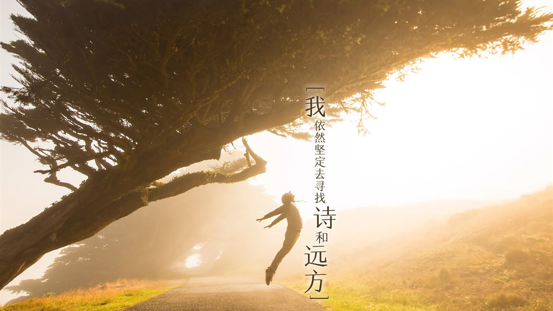 fb体育官网-苏格兰橄榄球的市场潜力无限，商业化步伐加快，苏格兰橄榄球队